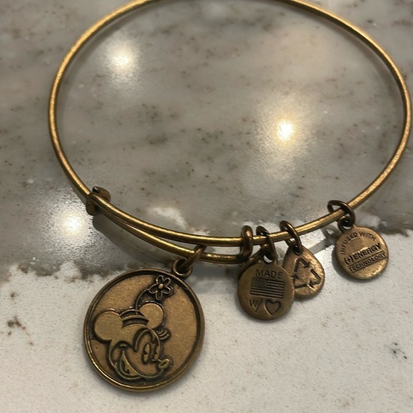 Alex and Ani Walt Disney World Mickey Mouse Charm Adjustable Bangle Bracelet - Picture 1 of 3